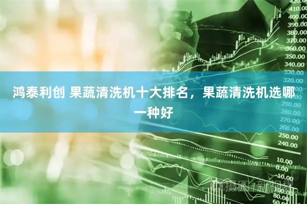 鸿泰利创 果蔬清洗机十大排名，果蔬清洗机选哪一种好