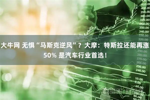大牛网 无惧“马斯克逆风”？大摩：特斯拉还能再涨50% 是汽车行业首选！