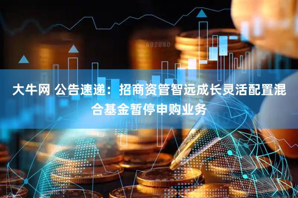 大牛网 公告速递：招商资管智远成长灵活配置混合基金暂停申购业务