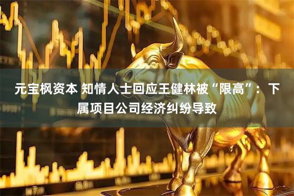 元宝枫资本 知情人士回应王健林被“限高”：下属项目公司经济纠纷导致