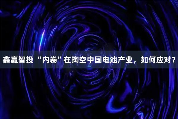 鑫赢智投 “内卷”在掏空中国电池产业，如何应对？