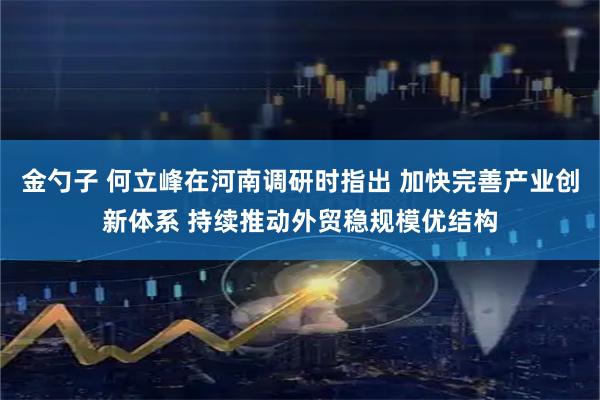 金勺子 何立峰在河南调研时指出 加快完善产业创新体系 持续推动外贸稳规模优结构